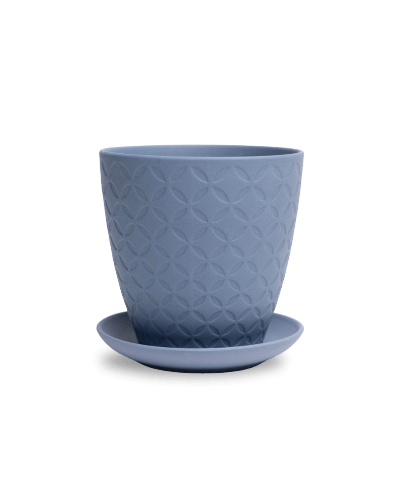 Virago 5" Porcelain Pot With Drainage Hole And Saucer - Chive US Wholesale