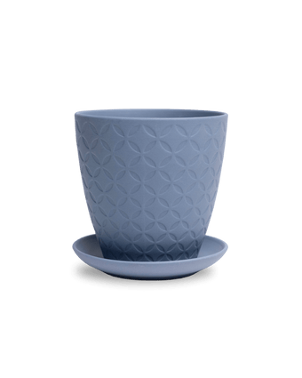 Virago 5" Porcelain Pot With Drainage Hole And Saucer - Chive US Wholesale