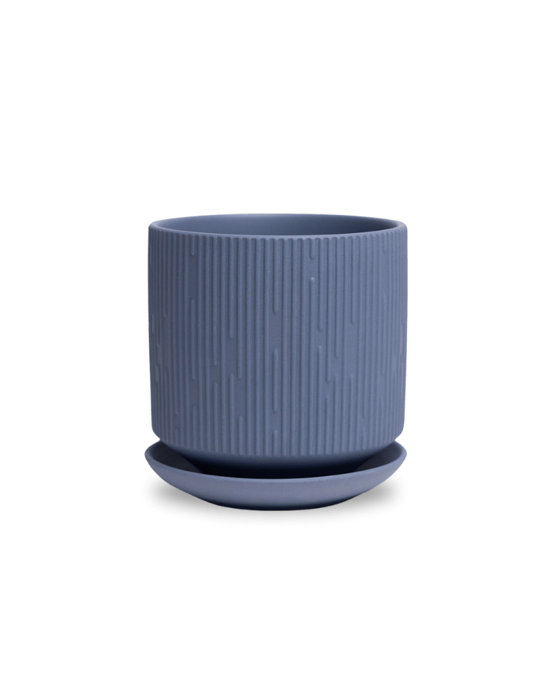 Virago 5" Porcelain Pot With Drainage Hole And Saucer - Chive US Wholesale