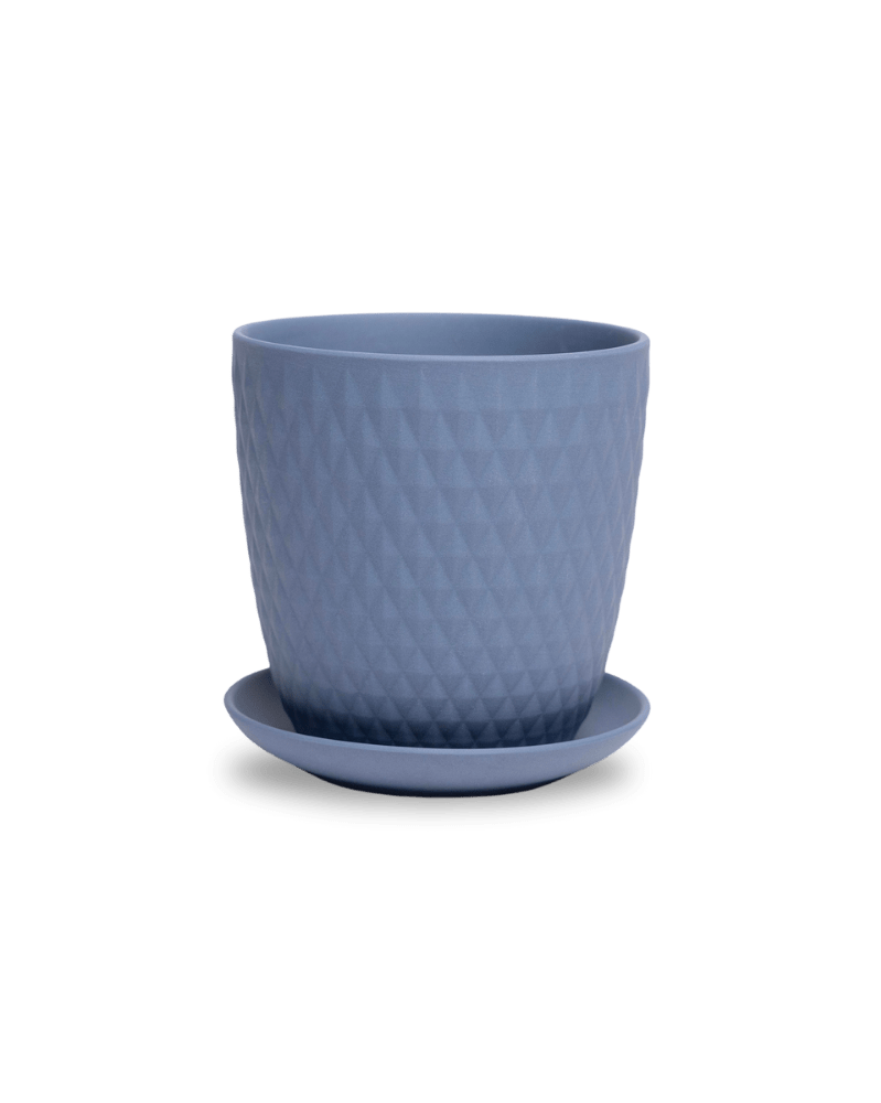 Virago 5" Porcelain Pot With Drainage Hole And Saucer - Chive US Wholesale