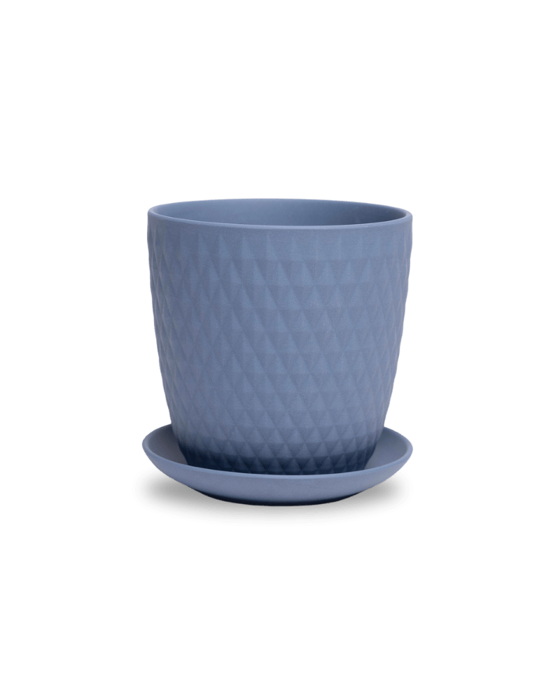 Virago 5" Porcelain Pot With Drainage Hole And Saucer - Chive US Wholesale
