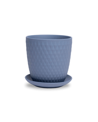 Virago 5" Porcelain Pot With Drainage Hole And Saucer - Chive US Wholesale