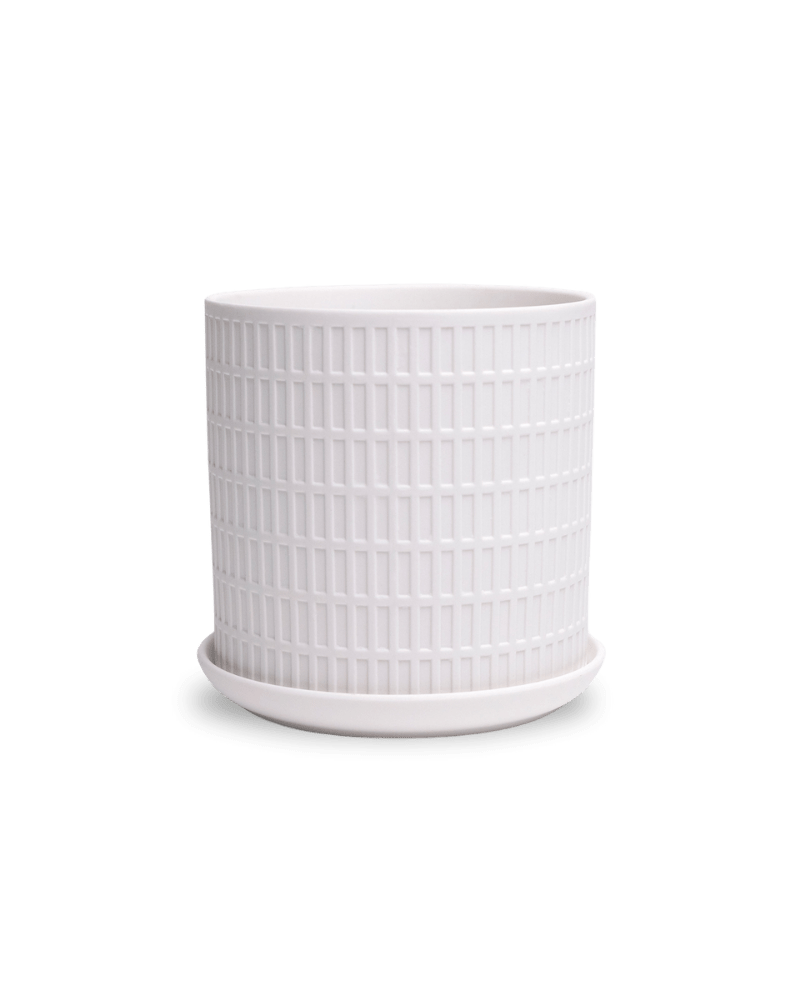 Virago 5" Porcelain Pot With Drainage Hole And Saucer - Chive US Wholesale