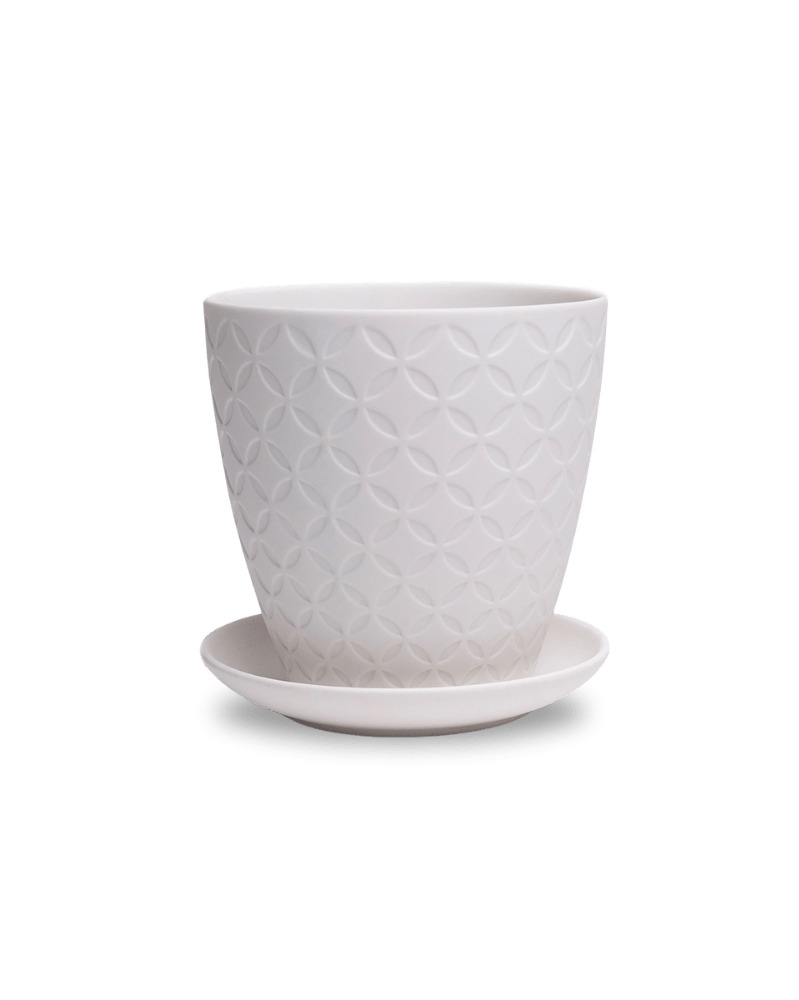 Virago 5" Porcelain Pot With Drainage Hole And Saucer - Chive US Wholesale