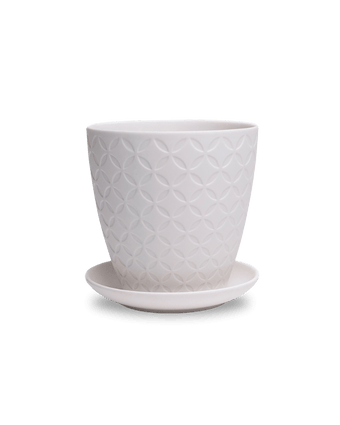 Virago 5" Porcelain Pot With Drainage Hole And Saucer - Chive US Wholesale