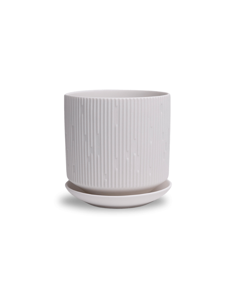 Virago 5" Porcelain Pot With Drainage Hole And Saucer - Chive US Wholesale