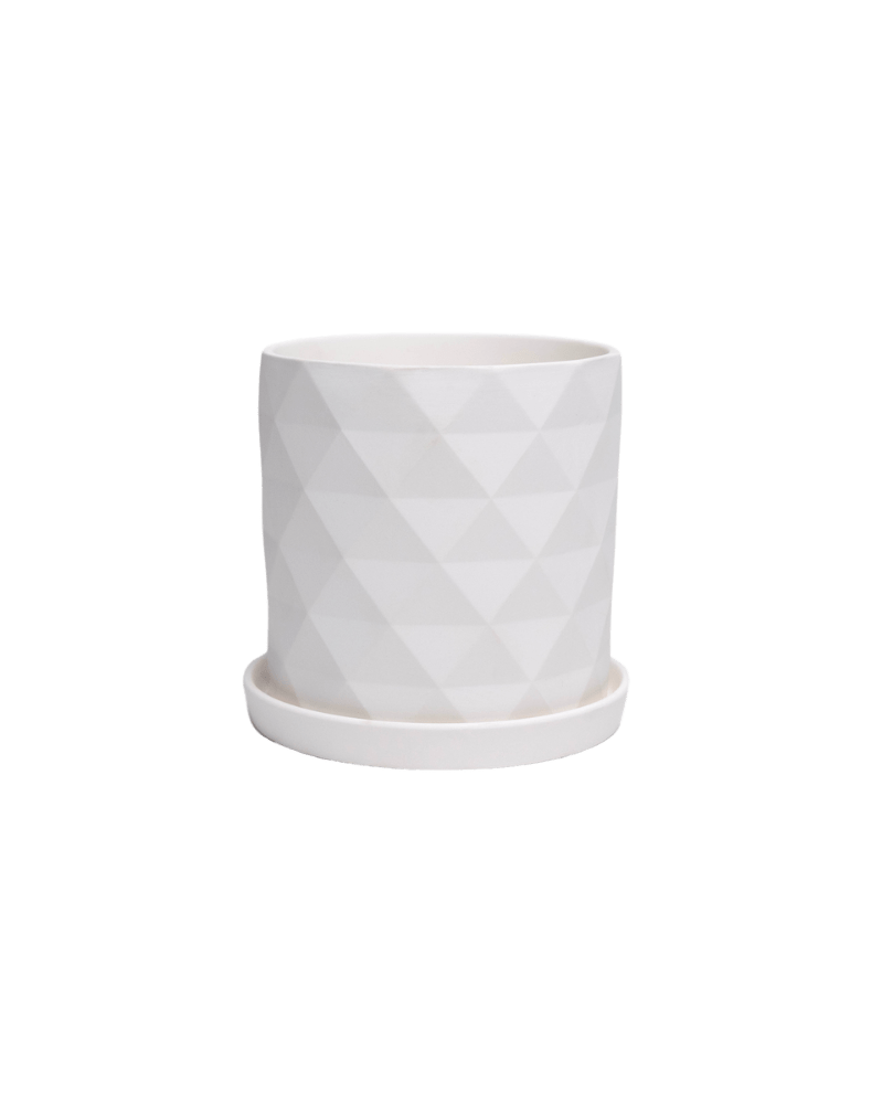 Virago 5" Porcelain Pot With Drainage Hole And Saucer - Chive US Wholesale