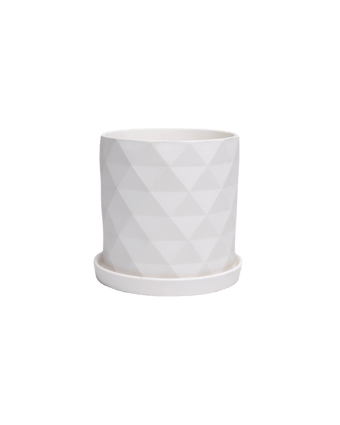 Virago 5" Porcelain Pot With Drainage Hole And Saucer - Chive US Wholesale