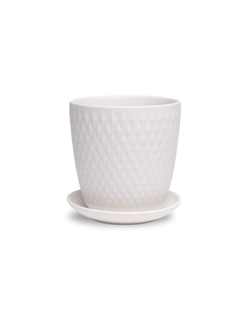 Virago 5" Porcelain Pot With Drainage Hole And Saucer - Chive US Wholesale