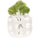 Black & White Glass Modern Flower Vase - Chive US Wholesale