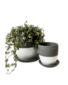 Dyad Porcelain Modern Indoor Plant Pot With Saucer - Chive US Wholesale