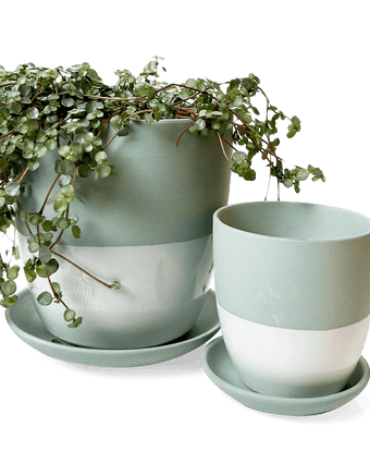 Dyad Porcelain Modern Indoor Plant Pot With Saucer - Chive US Wholesale