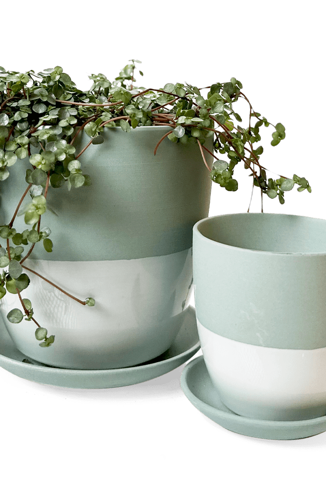 Dyad Porcelain Modern Indoor Plant Pot With Saucer - Chive US Wholesale