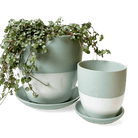 Dyad Porcelain Modern Indoor Plant Pot With Saucer - Chive US Wholesale
