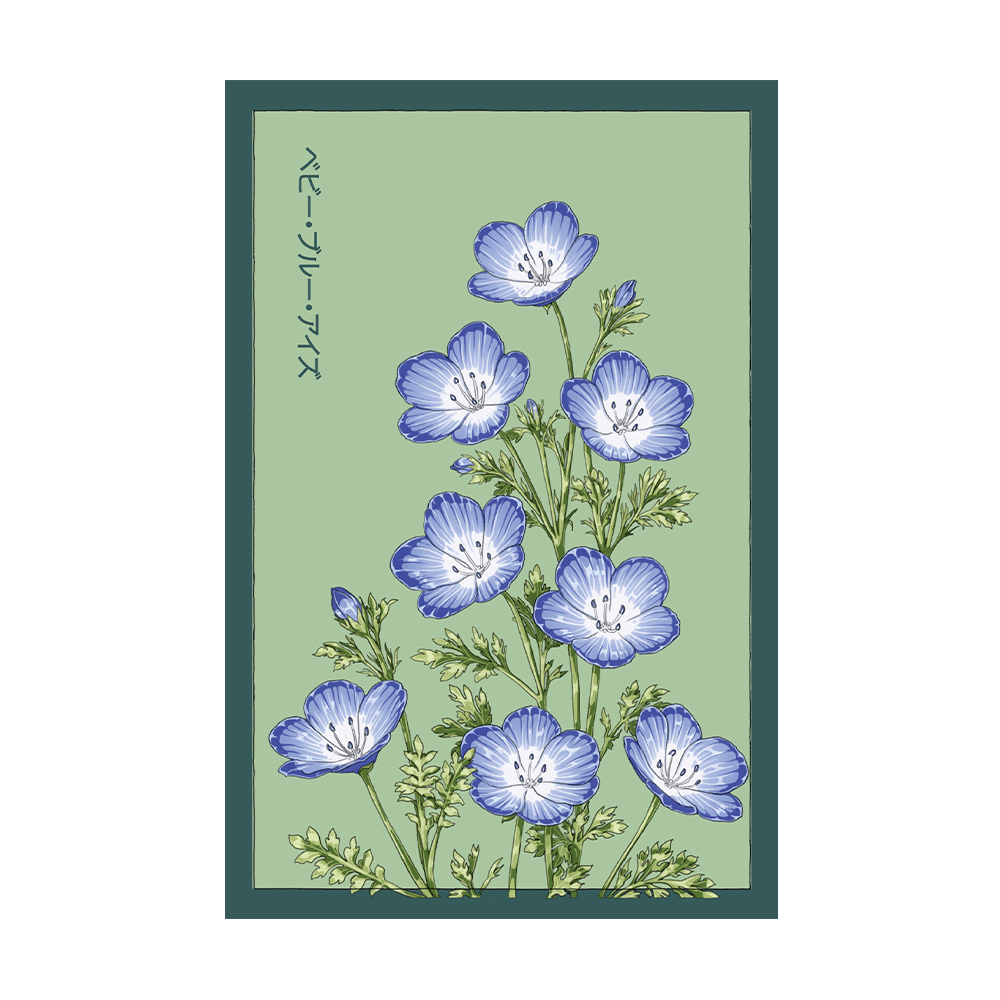 Baby Blue Eyes Flower Seeds Packet - Chive US Wholesale