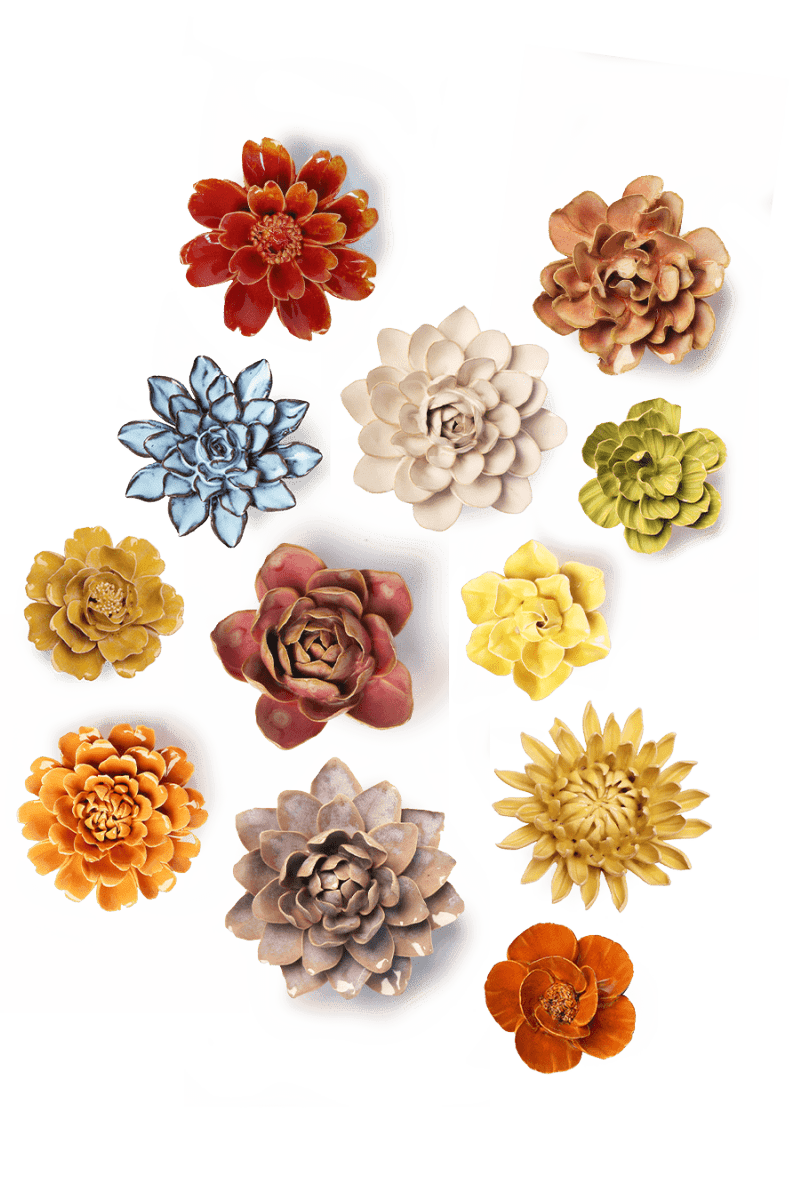 November Birth Flower - Chrysanthemum - Chive US Wholesale