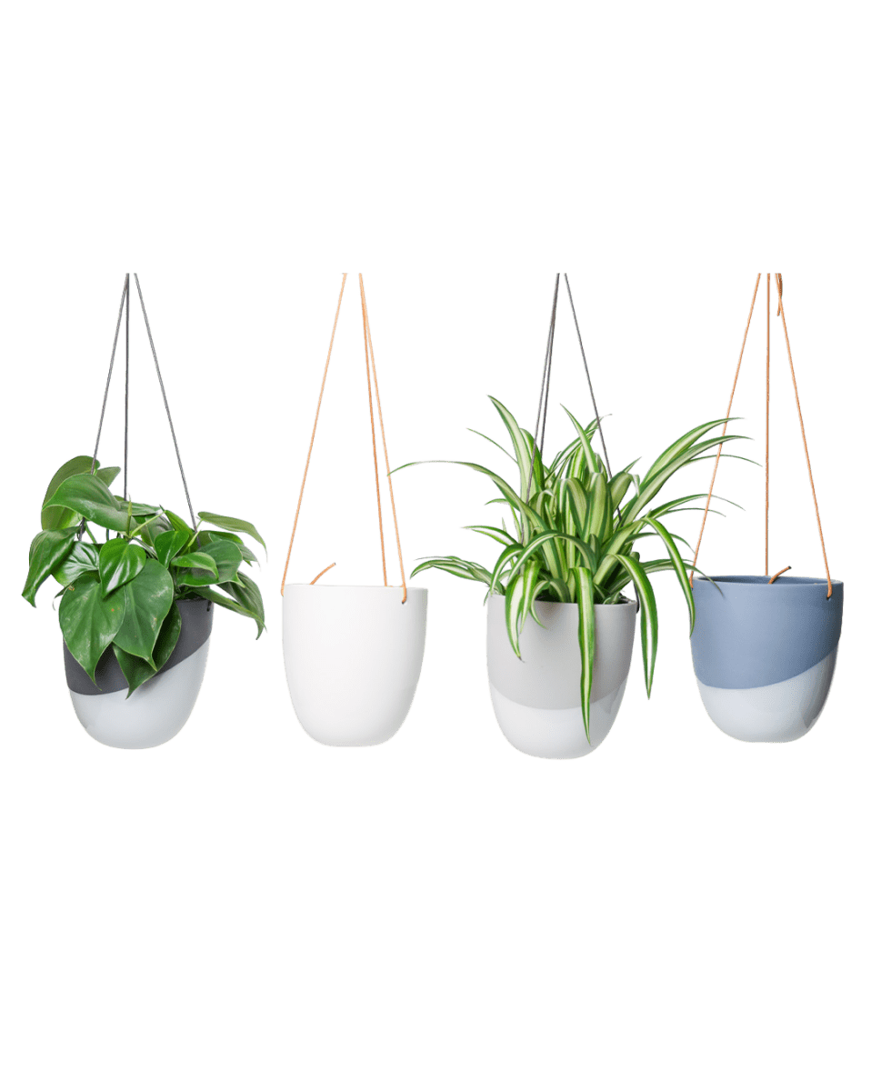 Bobbin Porcelain Modern Hanging Indoor Plant Pot - Chive US Wholesale