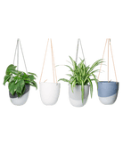 Bobbin Porcelain Modern Hanging Indoor Plant Pot - Chive US Wholesale