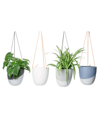Bobbin Porcelain Modern Hanging Indoor Plant Pot - Chive US Wholesale