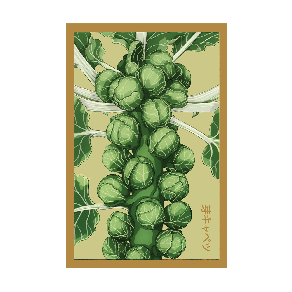 Brussel Sprouts Vegetable Seeds Packet - Chive US Wholesale