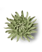 Ceramic Flower - Flower Green 12 - Chive US Wholesale