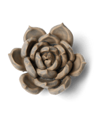 Ceramic Flower Succulent Blue 12 - Chive US Wholesale