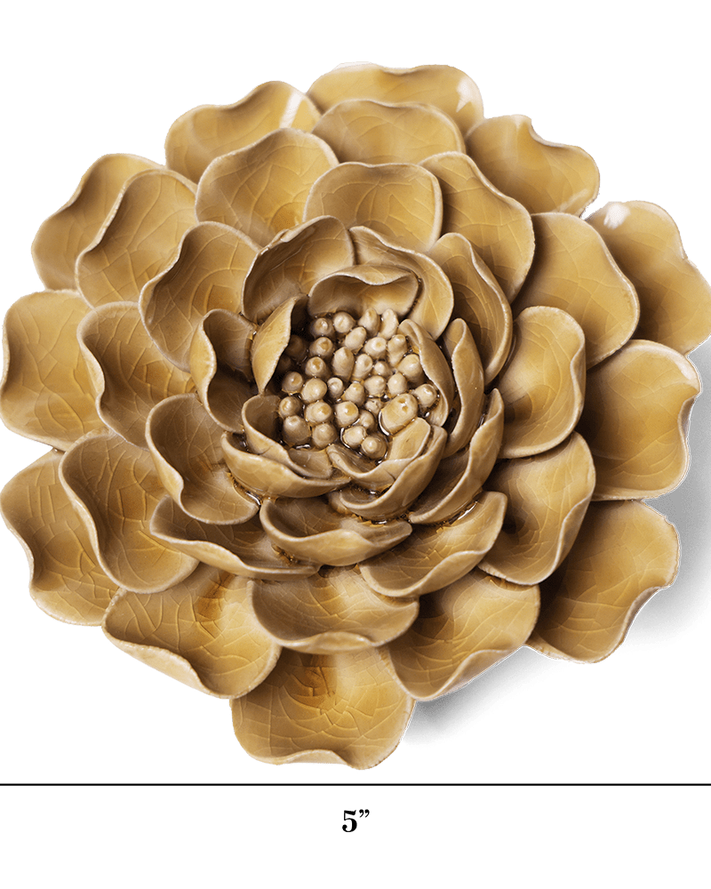 EG16 Caramel Charm Peony - Chive US Wholesale