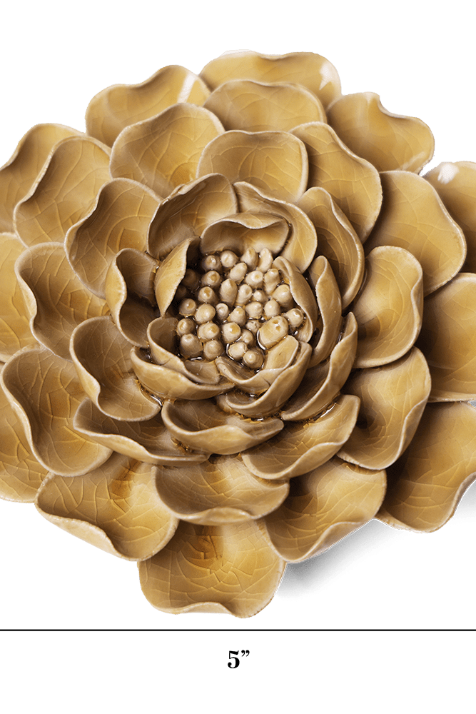 EG16 Caramel Charm Peony - Chive US Wholesale