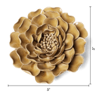 EG16 Caramel Charm Peony - Chive US Wholesale