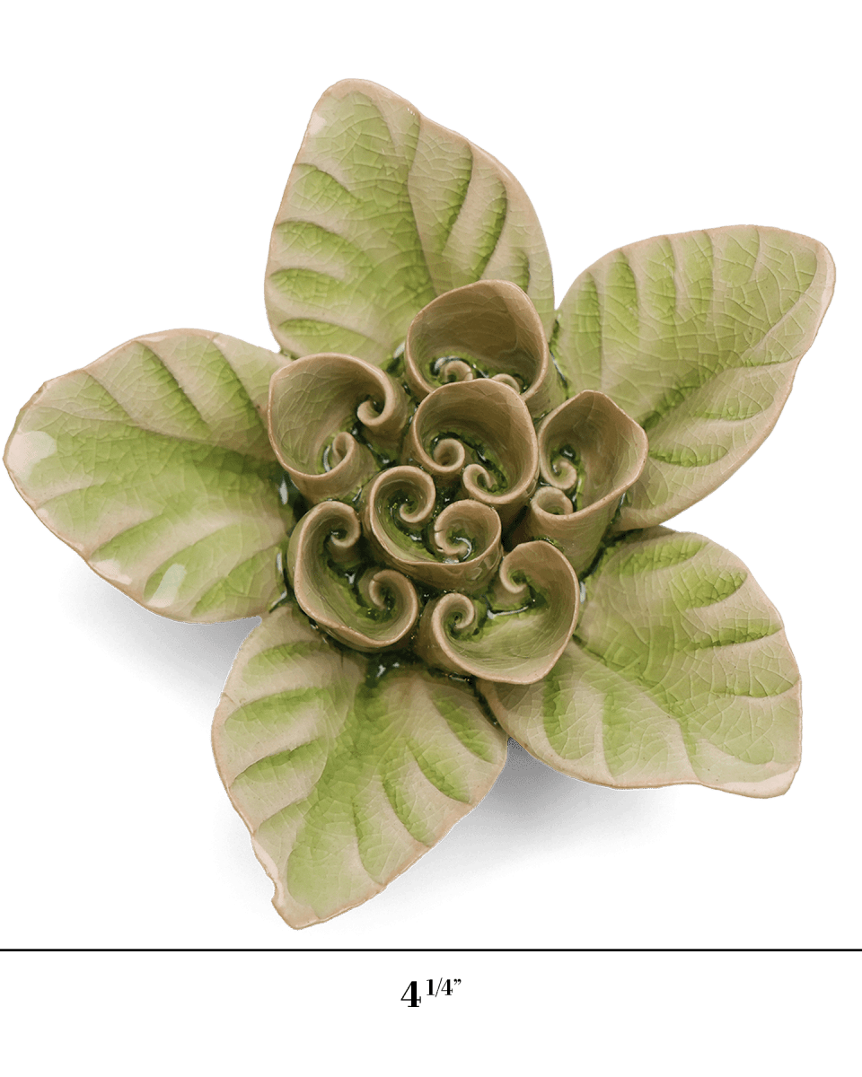EG18 Peridot Green Maiden Lotus - Chive US Wholesale