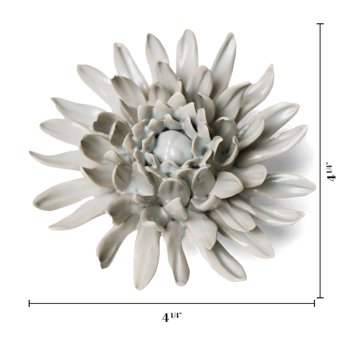 EG02 Panache Green Spider Mum - Chive US Wholesale