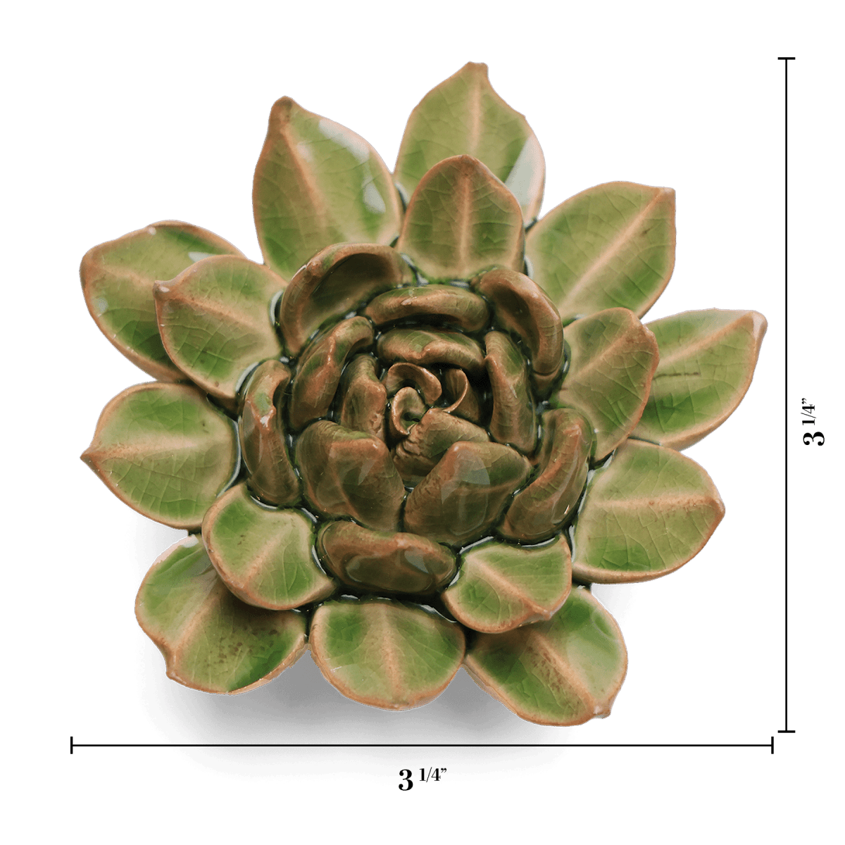 EG12 Avocado Green Firecracker Succulent - Chive US Wholesale