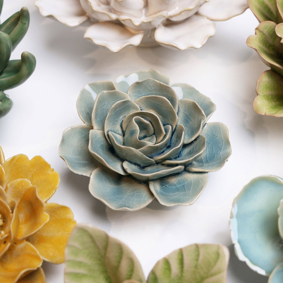 EG04 Powder Blue Amandine Ranunculus - Chive US Wholesale