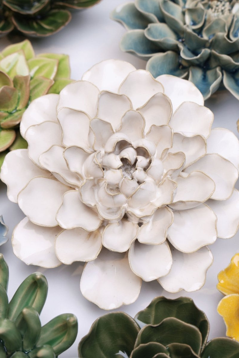 EG15 Ivory European Water Lily - Chive US Wholesale