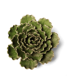 Ceramic Flower Lettuce Green XL 5 - Chive US Wholesale