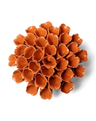 Ceramic Flower Polyp Orange Large - Chive US Wholesale