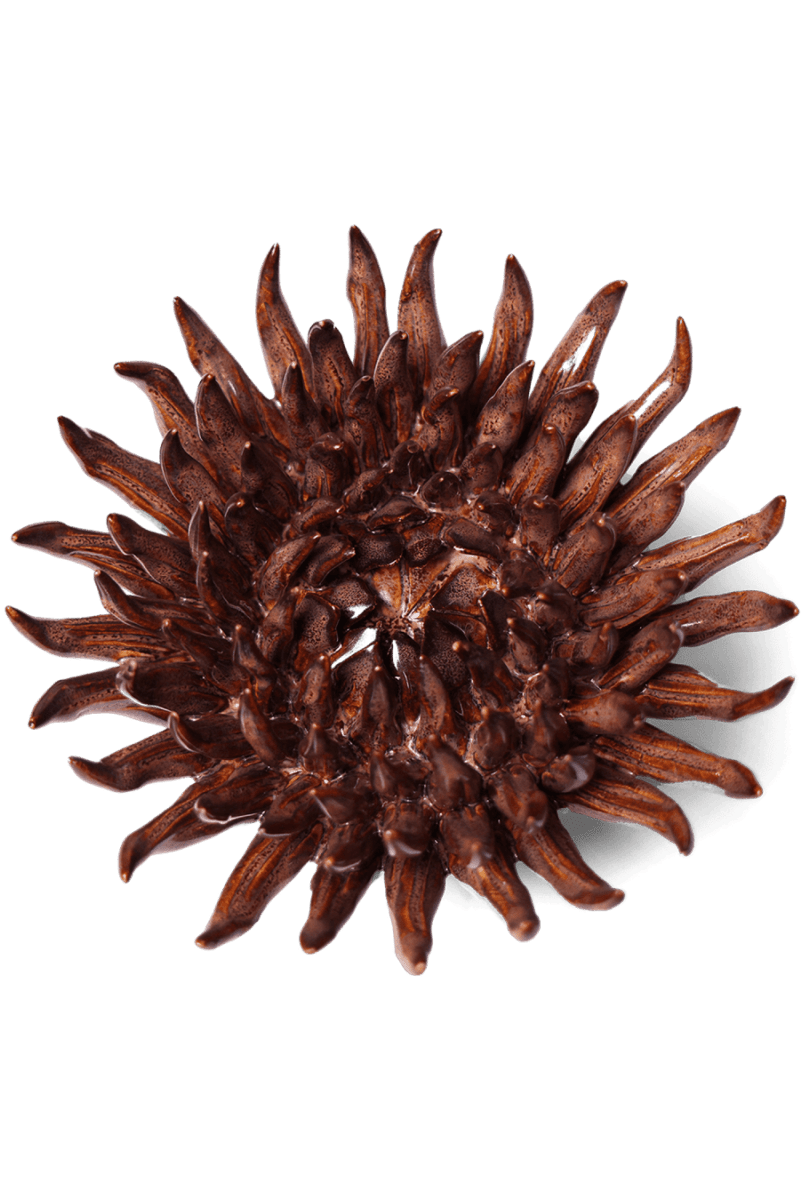 Ceramic Flower Mum Chocolate 5 - Chive US Wholesale