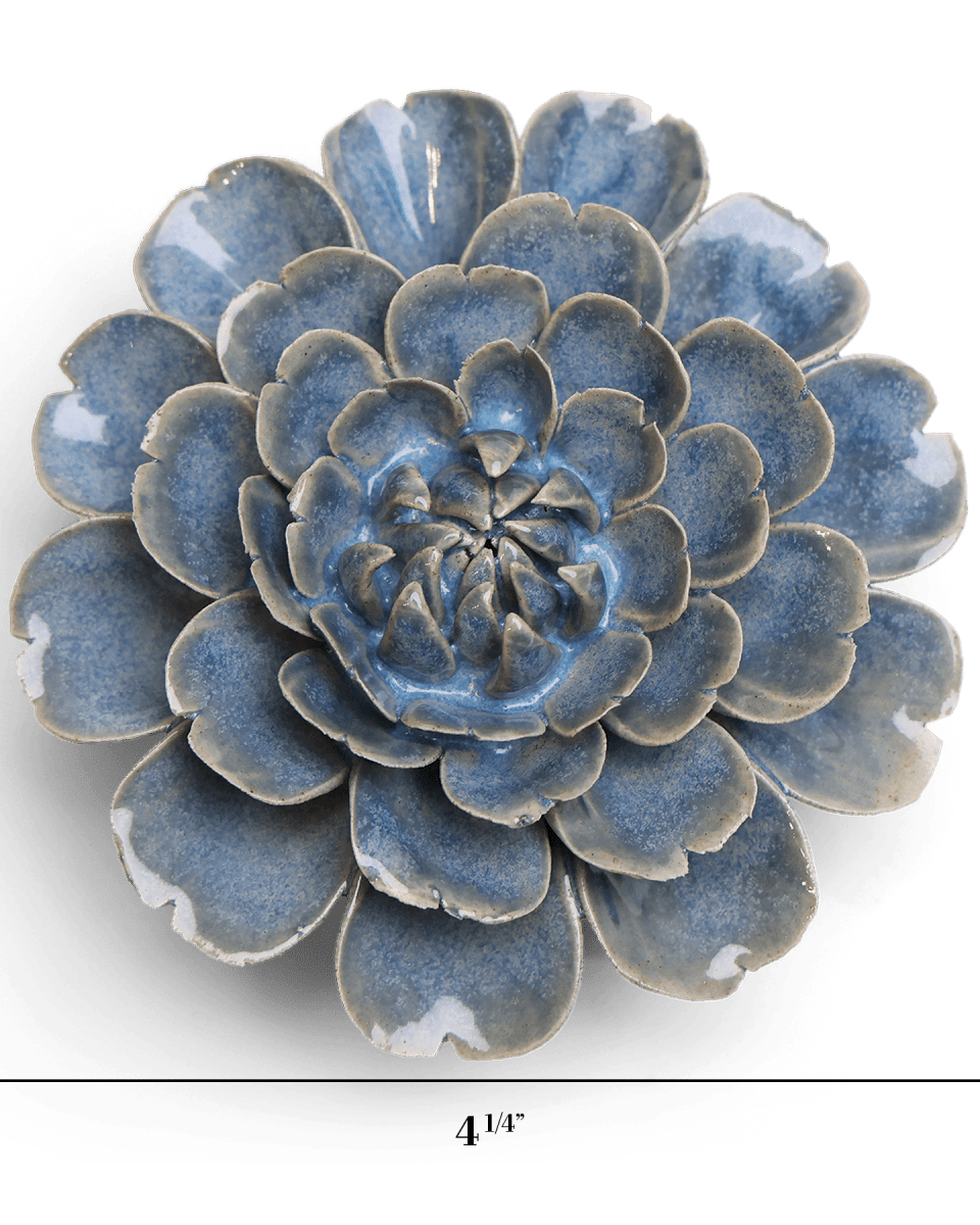 JA21 Fancy Blue Fiesta Marigold - Chive US Wholesale