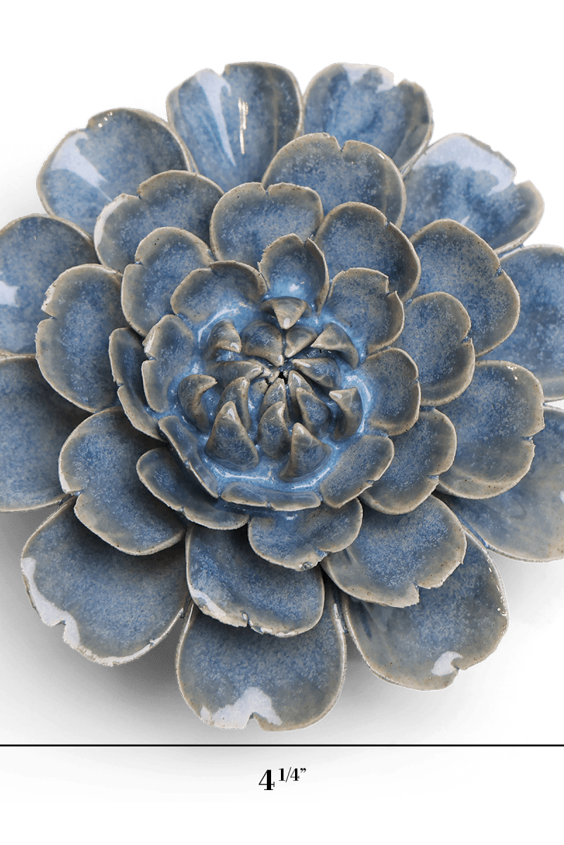 JA21 Fancy Blue Fiesta Marigold - Chive US Wholesale