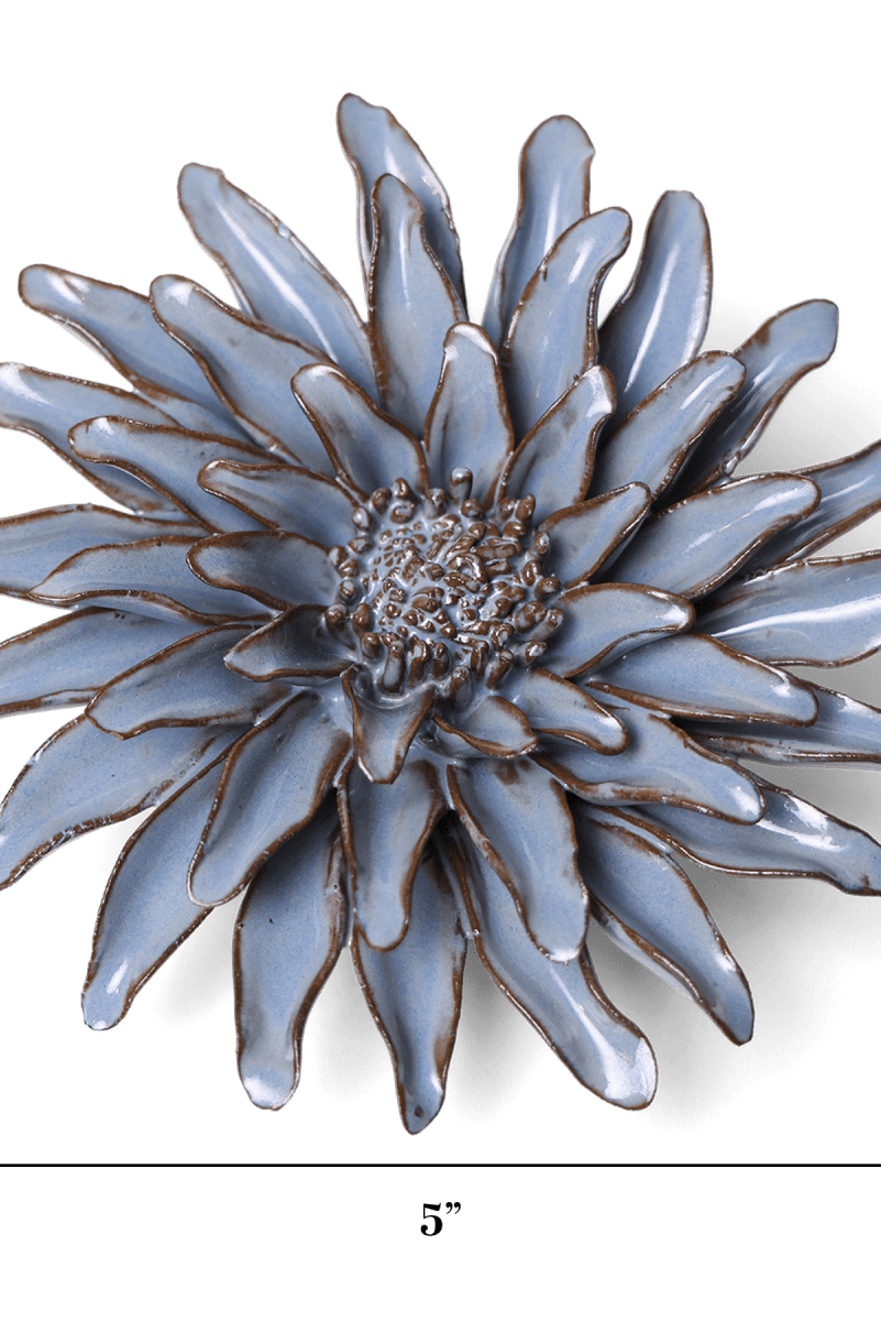 JA14 Blue Grey Gerbera Daisy - Chive US Wholesale