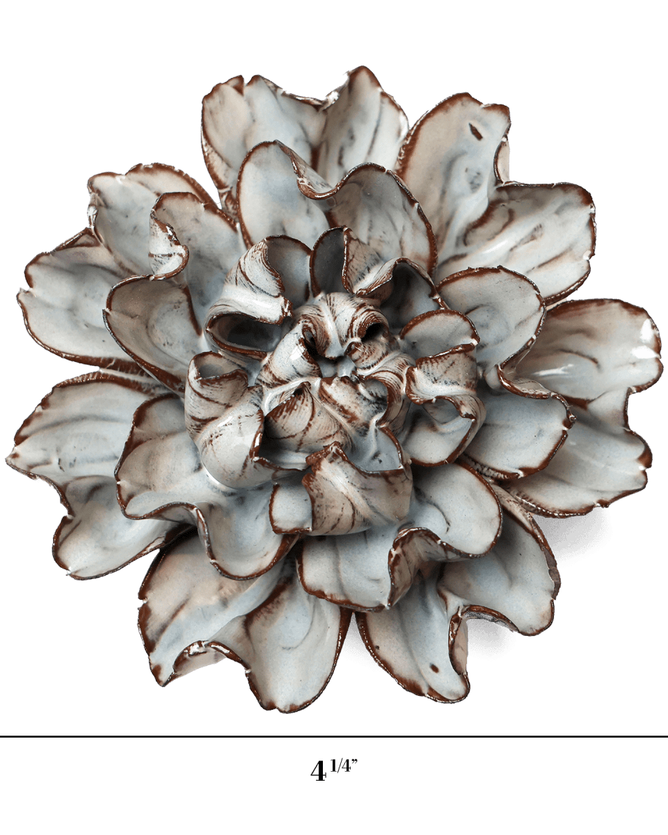 JA15 Chocolate Mint Echo Lisianthus - Chive US Wholesale