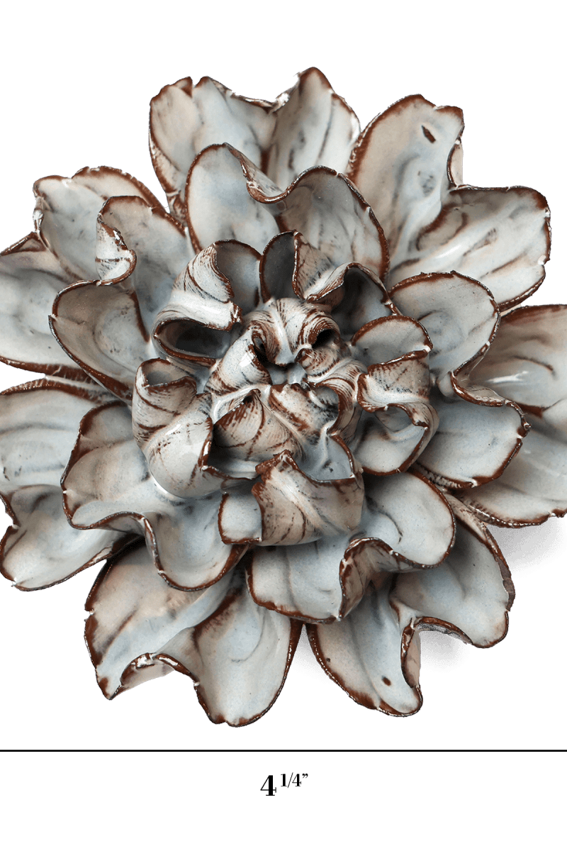 JA15 Chocolate Mint Echo Lisianthus - Chive US Wholesale