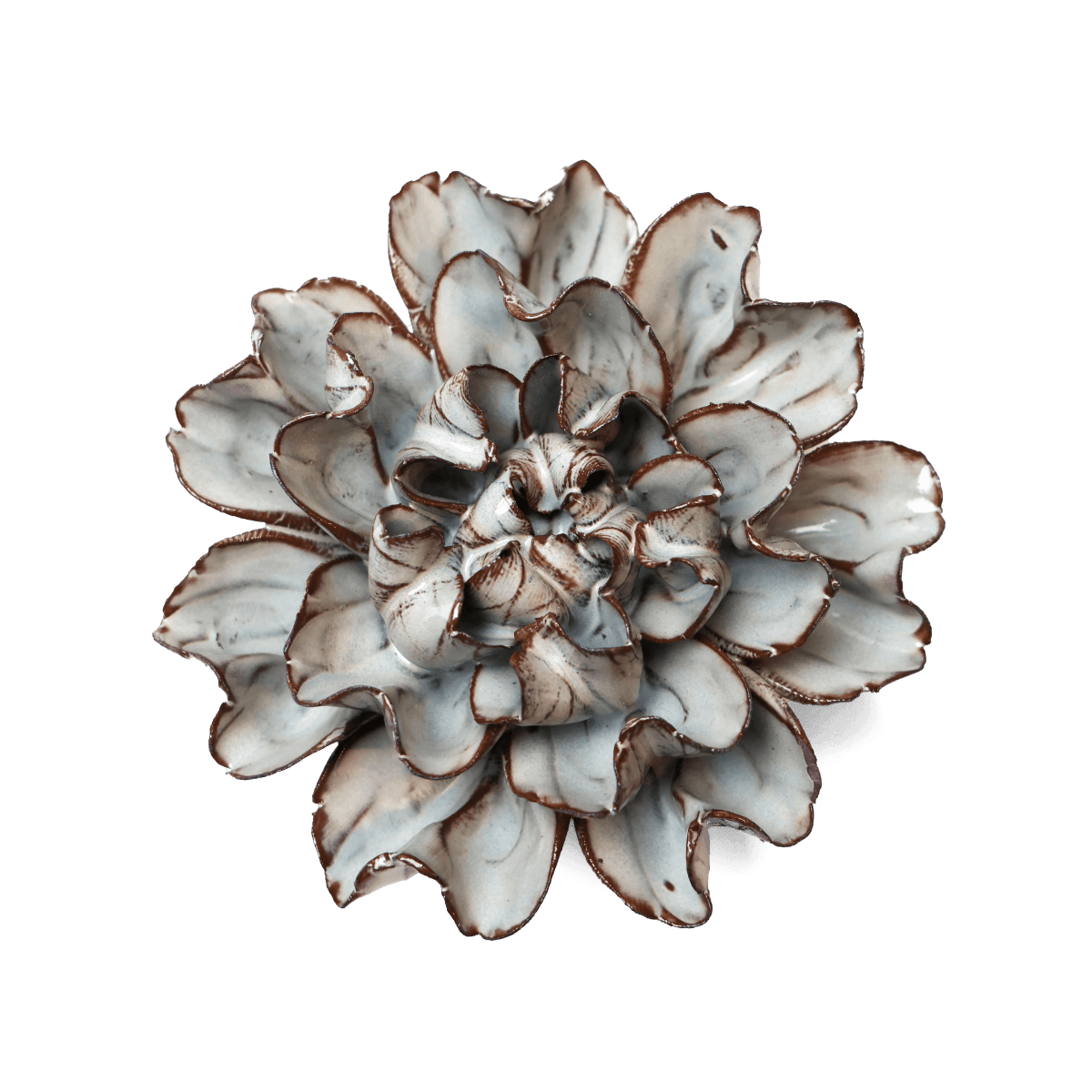 JA15 Chocolate Mint Echo Lisianthus - Chive US Wholesale