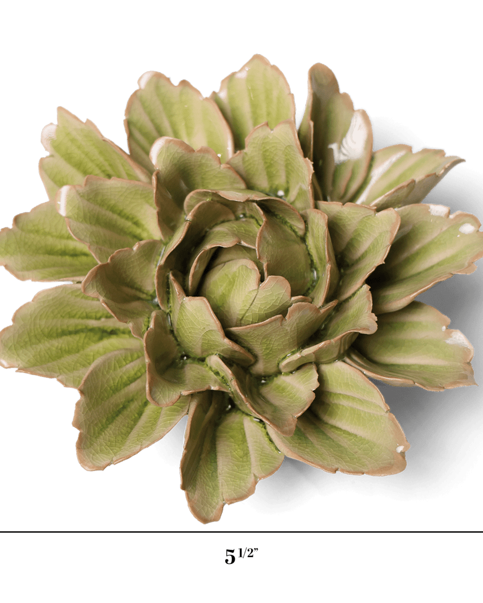 JA11 Peridot Sorbet Peony - Chive US Wholesale