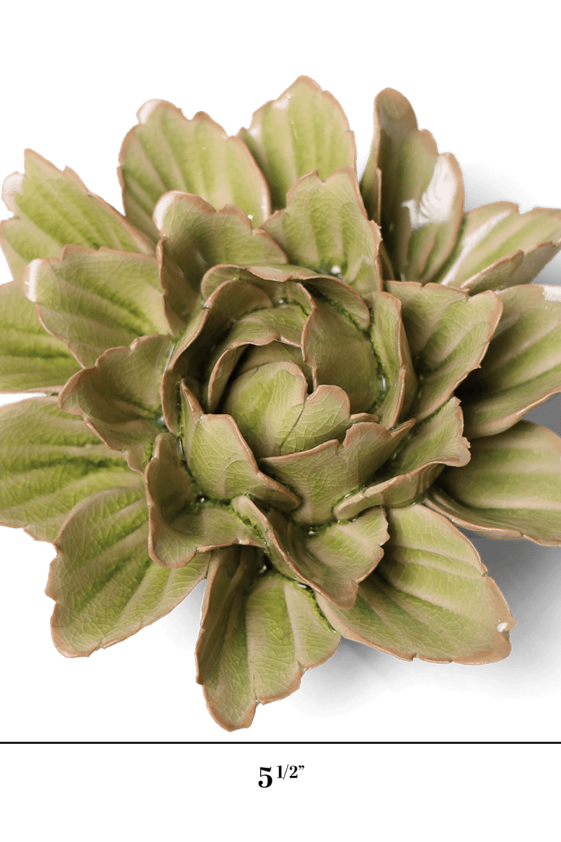 JA11 Peridot Sorbet Peony - Chive US Wholesale