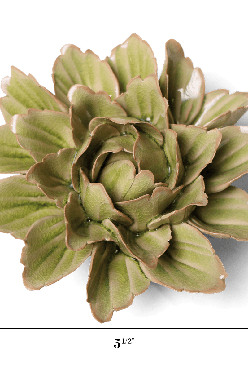 JA11 Peridot Sorbet Peony - Chive US Wholesale