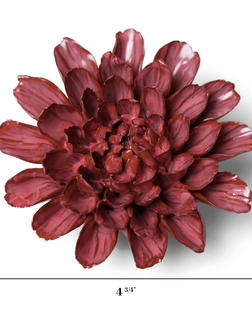 JA17 Blush Pink Star Dahlia - Chive US Wholesale