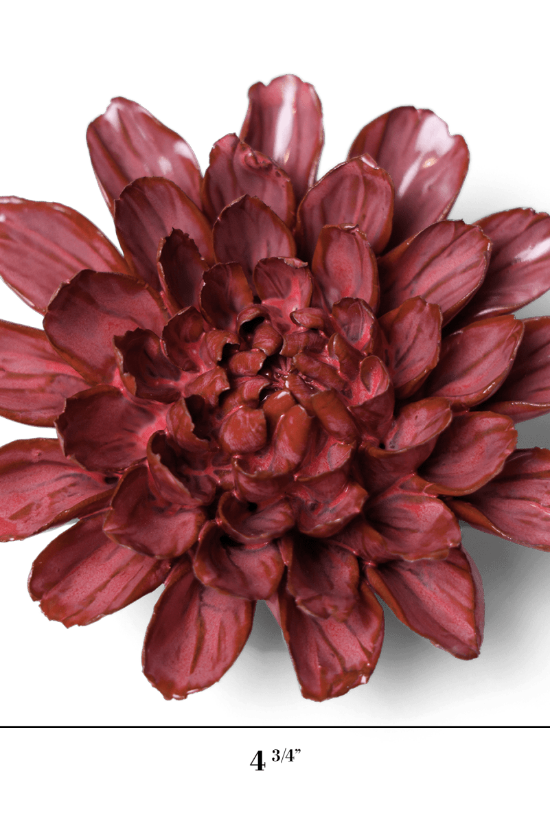 JA17 Blush Pink Star Dahlia - Chive US Wholesale