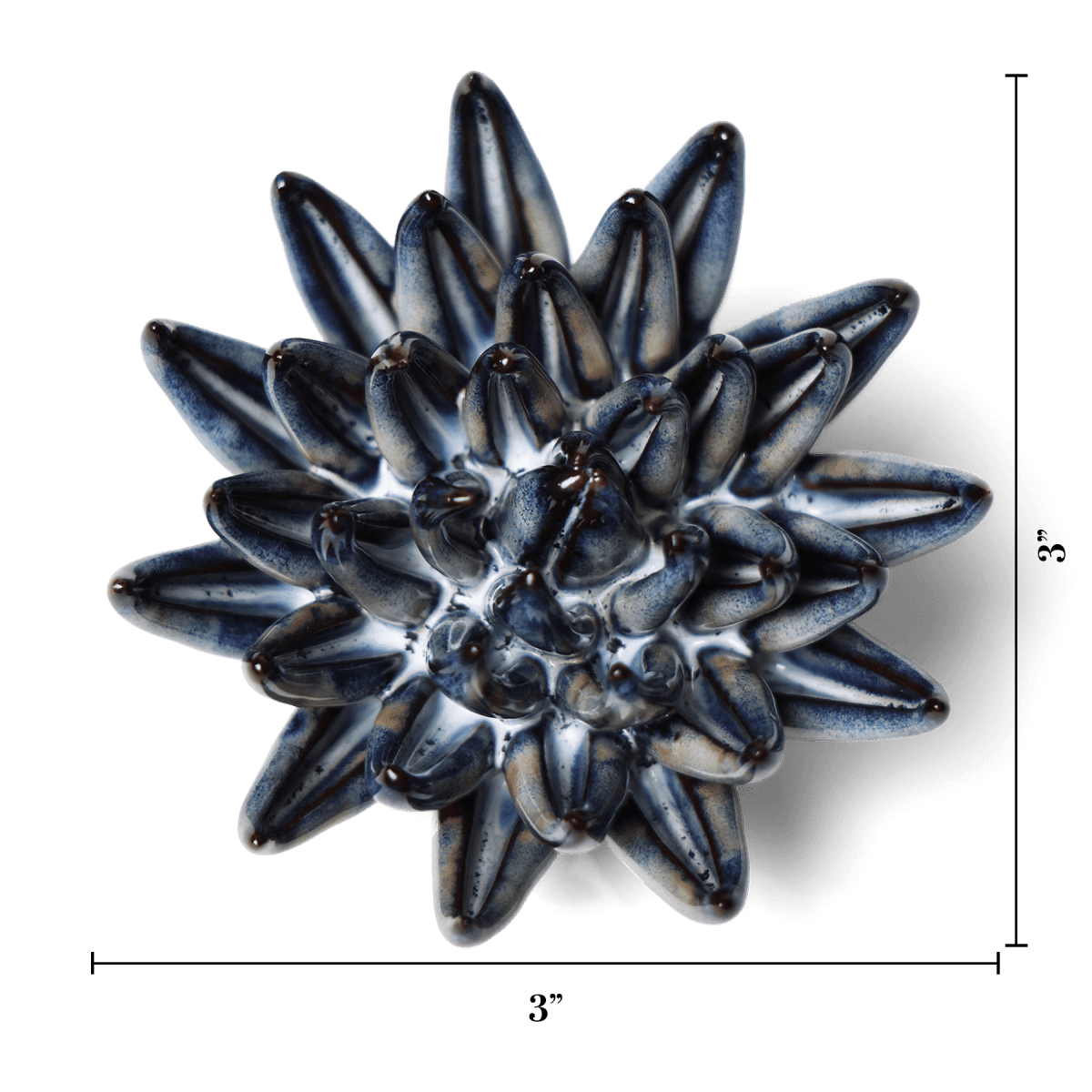 JA16 Navy Blue Chalksticks Succulent - Chive US Wholesale