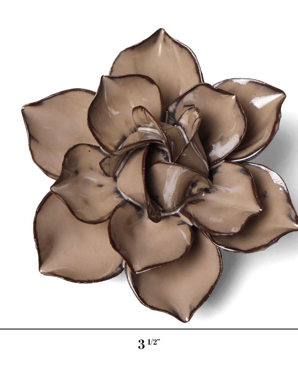 JA18 Latte Daffodil - Chive US Wholesale